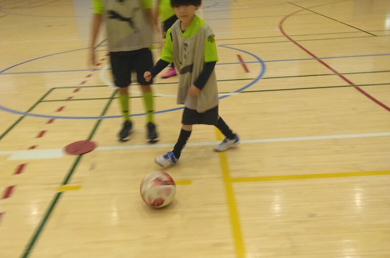 IMG_20241107_173305